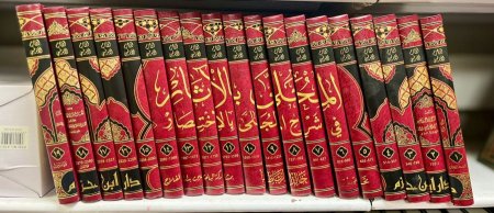 المحلى بالاثار في شرح المجلى بالاختصار